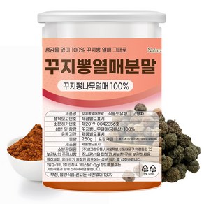 꾸지뽕열매 가루 분말 구찌뽕 구지뽕 국내산 250g (고급형), 1개