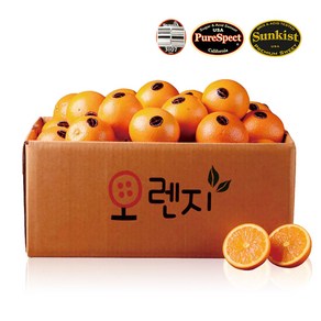 블랙라벨 오렌지 고당도 네이블 11bix이상 당도선별, 1세트, 230g(대과), 25과