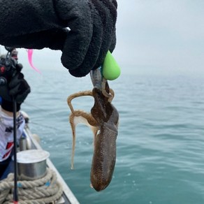 야광봉돌 쭈꾸미 봉돌 갑오징어 문어 광어 다운샷 채비 낚시추 싱커, 1개