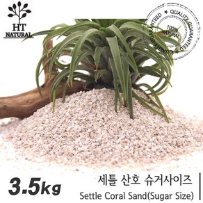 세틀 산호사 슈가 3.5kg 1포 /수족관 어항 수조 해수어 시클리드 바닥재 모래 니모 시클리트 관상어 열대어, 1개