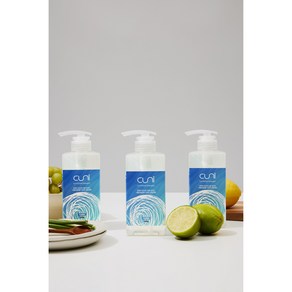 CUNI 자연유래 1종 주방세제(바질향) 500g, 1개, 500ml