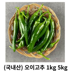 오이고추 1kg 2kg 5kg 국내산 산지직송 오이맛고추 모닝고추 아삭아삭 아삭이고추 안매운고추 장아찌 절임 된장무침 피클, 1박스