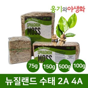 옹기와야생화 뉴질랜드 수태 모음 2A 75g 150g 500g 4A 100g, 2. 뉴질랜드수태 2A 150g, 1개