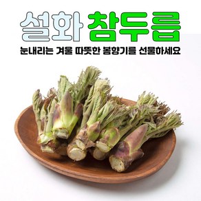 (바로배송) 국내산 참두릅 두릅촉성재배 설화참두릅 (친환경인증) 상품 1팩 40주~45주(400g), 400g, 1개