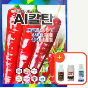 AI칼탄 고추씨앗 고추 종자 1200립 칼라 탄저 역병 복합내병계 품종, 1개