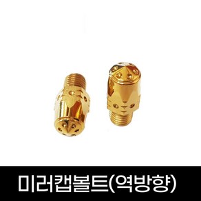 전년식 오토바이 미러캡 볼트 야마하 혼다 21년 범용 PCX NMAX XMAX, 1개, 야마하-골드