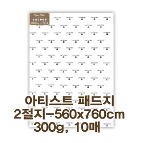 미젤로 리얼코튼 수채화 용지 300g 전문가용 2절지 2절 수채화지 대형작품용 종이, 아티스트-중목(10장) MBWP-5676C