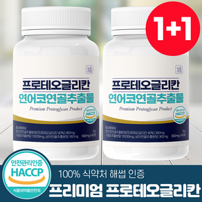 프로테오글리칸 연어코연골 추출물 식약처 HACCP 인증 뉴트라업, 60정, 2개