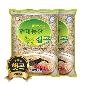 현대농산 국산 할맥 2kg (1kgX2봉)