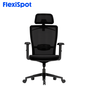 FlexiSpot 사무용의자 메쉬의자 편안함 튼튼한컴퓨터의자 A/S 3년 시무실의자 헤드레스트 허리 보호 틸팅 잠금 OC3, 블랙