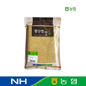 농협 국산 기장 (찰기장쌀) 500g, 1개