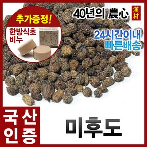 미후도600g 참다래열매 다래 국내산(경북영천), 단품, 1개, 600g