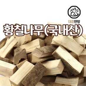 대흥한방 황칠목 300g 국내산