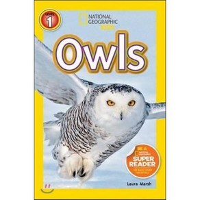 Owls