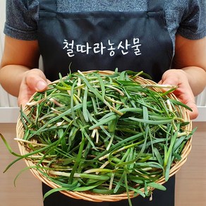 해풍맞은 햇 초벌 부추, 300g, 1개