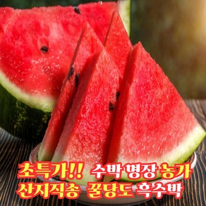 초특가 산지직송 고당도 16bix 흑수박, 1개, 4kg 내외