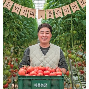 [최상품] 완숙찰토마토 2.5kg 농장직송!, 정품소과5KG, 1개