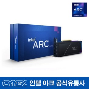 인텔 아크 Arc A770 Limited Edition D6 16GB