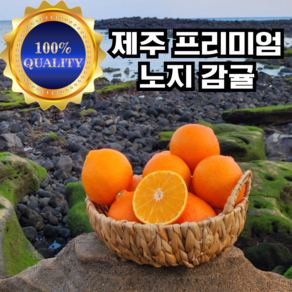 [제주직송] 고당도 프리미엄 노지 감귤 선물용 로열과 3kg 5kg 10kg, 1개, 3kg 대과 2L