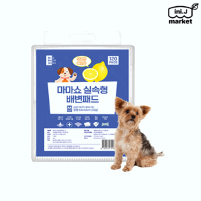 [국내정품]마마쇼 실속형 배변패드 상큼한 레몬향 120p M(53 x 43 cm) 120개입 1개[매장], 1개, 120개