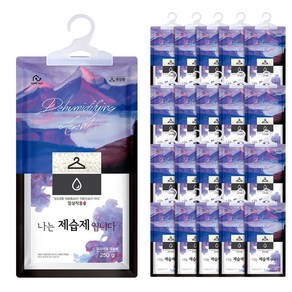 홈트너 옷걸이 제습제, 250g, 20개