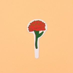 케익택(T-123)카네이션, 100개