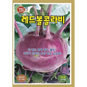 레드볼콜라비 300립/맛 좋고 몸에 좋은 고급 콜라비 씨앗, 1개