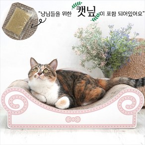 패리스캣 고양이 소파스크래쳐 캣닢포함 블루, 핑크, 1개