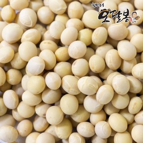 힘찬농부 국산 백태 대원콩 메주콩 대두콩, 1kg, 1개