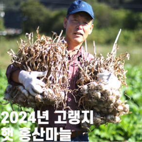 2023년 햇마늘 홍산마늘 통마늘 1kg 3kg 5kg, 1kg 소, 1개