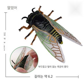 장수풍뎅이 사슴벌레 하늘소 피규어 헤라클레스장수풍뎅이 곤충 모형 5종 F 3종세트