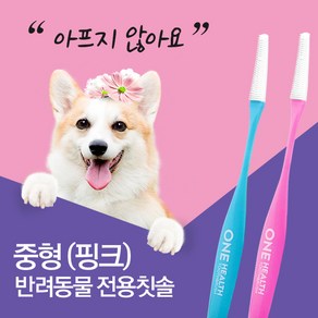 원헬스 강아지칫솔 애견 양치 강아지 이빨관리 치석제거 칫솔