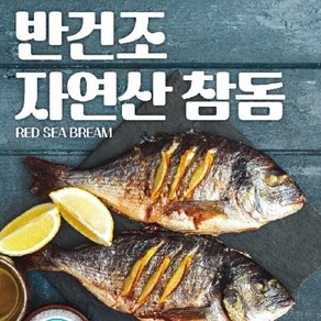 국내산참돔 자연산 국내산 반건조 참돔 250g10마리