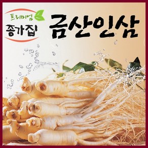 금산인삼 세척가정용난발파삼 세척인삼, 1개, 세척난발파삼300g(20뿌리내외)