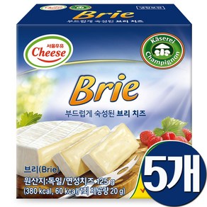 브리치즈, 5개, 125g