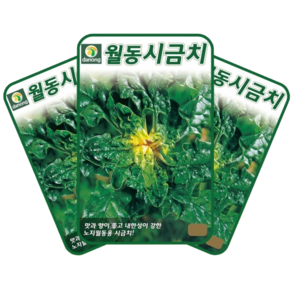 다농 월동시금치 씨앗 20g 3봉 겨울 월동시금치씨 종자, 1세트