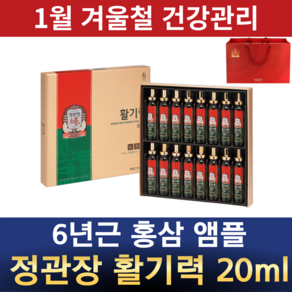 정관장 6년근 홍삼 농축액 앰플형 활기력 20ml 레드 쇼핑백 포함 생강 대추 구기자 오미자 황기 직접섭취 엑기스 액기스 부모님 가정의달 설 추석 선물세트, 2개