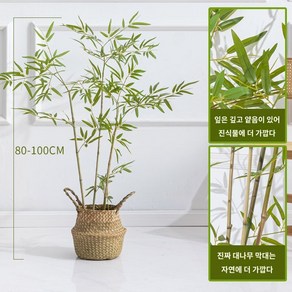 벽 데코 업소용 조화 나무 공간 심플 가짜 조경 사무실 식물 감성, 1m 높이의 카나리아 한 화분 3가지x[짚바구니], 1개