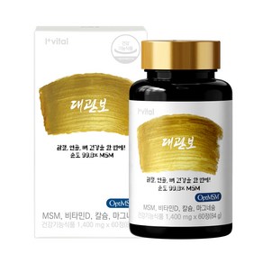 아이바이탈 대관보 엠에스엠 MSM