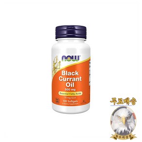 미국산 나우푸드 Black Cuant Oil 500mg 100정 블랙 커런트 NOW Foods 선물증정, 1개