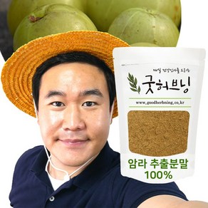 암라가루 암라 분말 파우더 추출물 인디안 구스베리 AMLA 효능 100g 굿허브닝, 1개