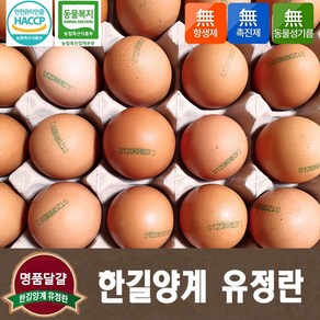 [한길양계] 동물복지 유정란 40구 친환경 무항생제 HACCP 안전관리인증 축산물 사육환경번호 #2, 1개