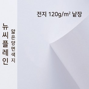 뉴씨플레인 종이문화 얇은 양면색지 120g 전지 낱장 1매 No.50 흰색, 1장