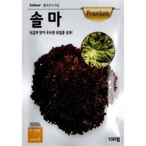(씨앗) 유럽종 상추 - 롤로로사 솔마 - 아삭한 외래종 상추 - 코팅 씨앗 종자 - 100립, 1개