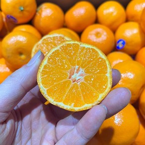 미국 만다린 오렌지 고당도 귤 9kg 4.5kg 2kg 1kg, 만다린 귤 1kg 로얄, 1개