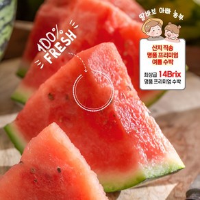 [산지 직송] 여름 제철 과일 최대 16bix 특상급 프리미엄 명품 초고당도 수박, 1개, 가정용 3kg 내외