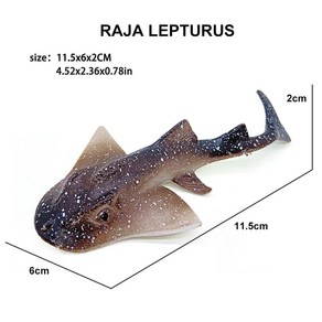 플라스틱 바다 생물 모델 모형 랍스터 과학 액션 피규어 교육 컬, 1개, 8.1pcs Raja leptuus