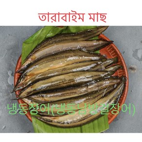 S.N FOOD 냉동장어(냉동남방걸장어)(LESSER SPINY EEL)500G*미얀마