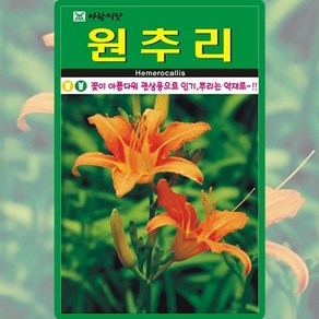 아람종묘 원추리 씨앗 30립 원추리 꽃씨 약초 종자, 1개