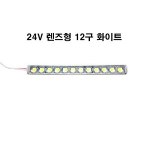 SS LIGHT 24V렌즈형 12구 LED모듈, 1개, 주광색